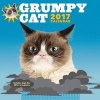 2017 Wall Calendar -  (Calendar) - Grumpy Cat Photo