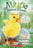 Magic Animal Friends #3 Ellie Featherbill (Paperback) - Daisy Meadows Photo