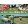 A Year on a Dairy Farm (Paperback) - Richard Cornock Photo