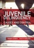 Juvenile Delinquency - Causes and Control (Paperback, 5th) - Robert Agnew Photo