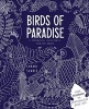 Birds of Paradise (Paperback) - Lorna Scobie Photo