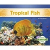 Tropical Fish (Paperback) - Grace Hansen Photo