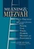 Meaning and Mitzvah - Daily Practices for Reclaiming Judaism Through God Torah Mitzvot Hebrew Prayer and Peoplehood (Paperback) - Goldie Milgram Photo