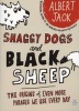 Shaggy Dogs and Black Sheep - The Origins of Even More Phrases We Use Every Day (Paperback) - Albert Jack Photo