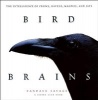 Bird Brains - The Intelligence of Crows, Ravens, Magpies, and Jays (Paperback, Revised) - Candace Sherk Savage Photo