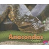 Anacondas (Hardcover) - Gail Saunders Smith Photo