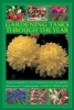 Gardening Tasks Through the Year - A Practical Guide to Year-round Success in Your Garden, Shown in Over 125 Photographs (Hardcover) - Andrew Mikolajski Photo