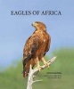 Eagles of Africa (Paperback) - Johann Knobel Photo