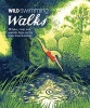 Wild Swimming Walks - 28 River, Lake and Seaside Days Out by Train from London (Paperback) - Margaret Dickinson Photo