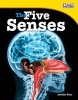 The Five Senses (Paperback) - Jennifer Prior Photo