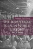 The Industrial Turn in World History (Paperback) - Peter Stearns Photo