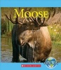 Moose (Paperback) - Josh Gregory Photo