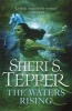 The Waters Rising (Paperback) - Sheri S Tepper Photo