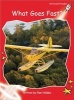 What Goes Fast?, Level 1 - Early (Paperback, International edition) - Pam Holden Photo