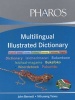 Multilingual Illustrated Dictionary (English & Foreign language, Paperback) - Nthuseng Tsoeu Photo