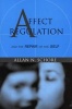 Affect Regulation and the Repair of the Self (Hardcover) - Allan N Schore Photo