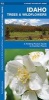 Idaho Trees & Wildflowers - A Folding Pocket Guide to Familiar Species (Pamphlet) - James Kavanagh Photo