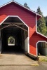 Website Password Organizer Red Covered Bridge in Oregon - Password/Login/Website Keeper/Organizer Never Worry about Forgetting Your Website Password or Login Again! (Paperback) - Unique Journal Photo