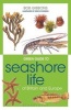 Green Guide to Seashore Life of Britain and Europe (Paperback) - Bob Gibbons Photo