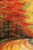 An Oil Painting of a Country Road in Maine - Blank 150 Page Lined Journal for Your Thoughts, Ideas, and Inspiration (Paperback) - Unique Journal Photo