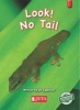 Look! No Tail, Higher level - red - Gr 1 (Paperback) -  Photo