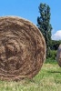 Hay Bales in the Field Journal - 150 Page Lined Notebook/Diary (Paperback) - Cs Creations Photo