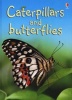 Caterpillars and Butterflies (Hardcover, New edition) - Stephanie Turnbull Photo