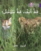 Tame Cat, Wild Cat (Arabic, Paperback) - Alison Hawes Photo