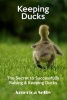 Keeping Ducks the Secret to Successfully Raising & Keeping Ducks - The Secret to Successfully Raising & Keeping Ducks (Paperback) - America Selby Photo