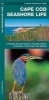 Cape Cod Seashore Life - A Folding Pocket Guide to Familiar Plants & Animals in the Cape Cod Region (Pamphlet, First) - James Kavanagh Photo