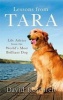 Lessons from Tara - Life Advice from the World's Most Brilliant Dog (Paperback) - David Rosenfelt Photo