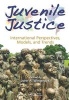 Juvenile Justice - International Perspectives, Models and Trends (Hardcover) - John A Winterdyk Photo