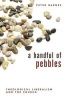 A Handful of Pebbles - Theological Liberalism and the Church (Paperback) - Barnes Peter Photo