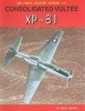 Consolidated Vultee XP-81 (Paperback) - Steve Ginter Photo