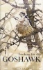 Looking for the Goshawk (Hardcover, New) - Conor Mark Jameson Photo