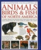 The Illustrated Encyclopedia of Animals, Birds & Fish of North America - A Natural History and Identification Guide with  More Than 420 Native Species from the United  States of America and Canada (Hardcover) - Tom Jackson Photo