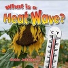 What Is a Heat Wave? (Hardcover) - Robin Johnson Photo