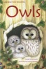 Owls (Hardcover) - Sarah Courtauld Photo