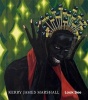 Kerry James Marshall - Look See (Hardcover) - Robert Storr Photo