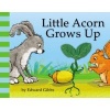 Little Acorn Grows Up (Board book) - Edward Gibbs Photo