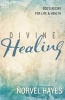 Divine Healing - God's Recipe for Life & Health (Paperback) - Norvel Hayes Photo