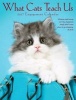 What Cats Teach Us (Calendar) - Glenn Drumgoole Photo