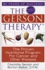 The Gerson Therapy - the Proven Nutritional Program for Cancer and Other Illnesses (Paperback, Re-issue) - Charlotte Gerson Photo