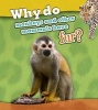 Why Do Monkeys and Other Mammals Have Fur? (Paperback) - Holly Beaumont Photo