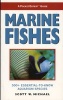 Marine Fishes - 500+ Essential-to-know Aquarium Species (Paperback) - Scott W Michael Photo