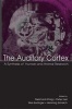 The Auditory Cortex - A Synthesis of Human and Animal Research (Hardcover) - Reinhard Konig Photo