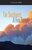 The Southwest - A Fire Survey (Paperback) - Stephen J Pyne Photo