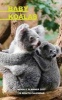 Baby Koalas Weekly Planner 2017 - 16 Month Calendar (Paperback) - David Mann Photo