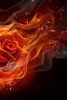 A Rose on Fire - Blank 150 Page Lined Journal for Your Thoughts, Ideas, and Inspiration (Paperback) - Unique Journal Photo