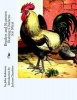 Broilers and Roasters - Raising Chickens for Meat (Paperback) - John Robinson Photo